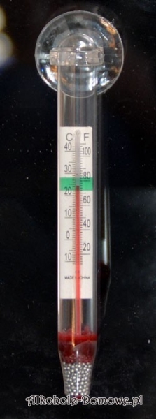 Termometr z przyssawką